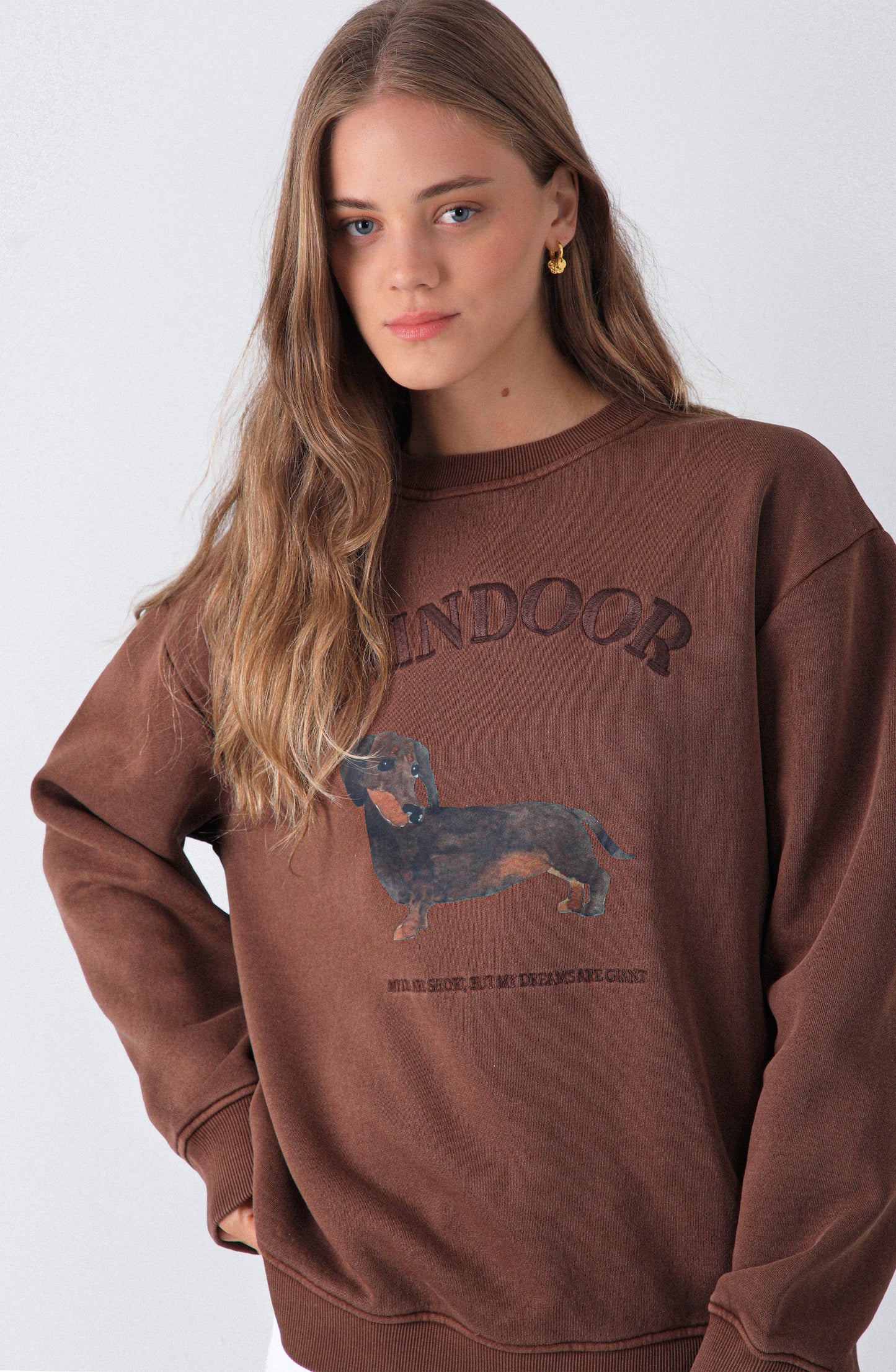 Polerón Perro Brown