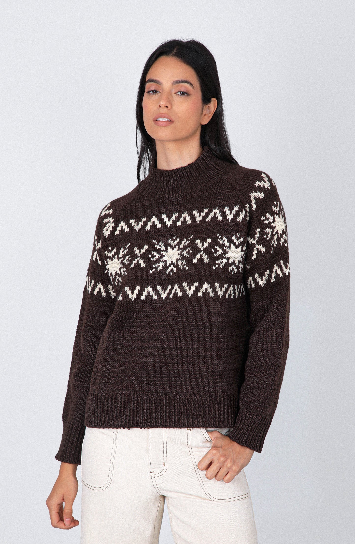Sweater Jacquard Brown